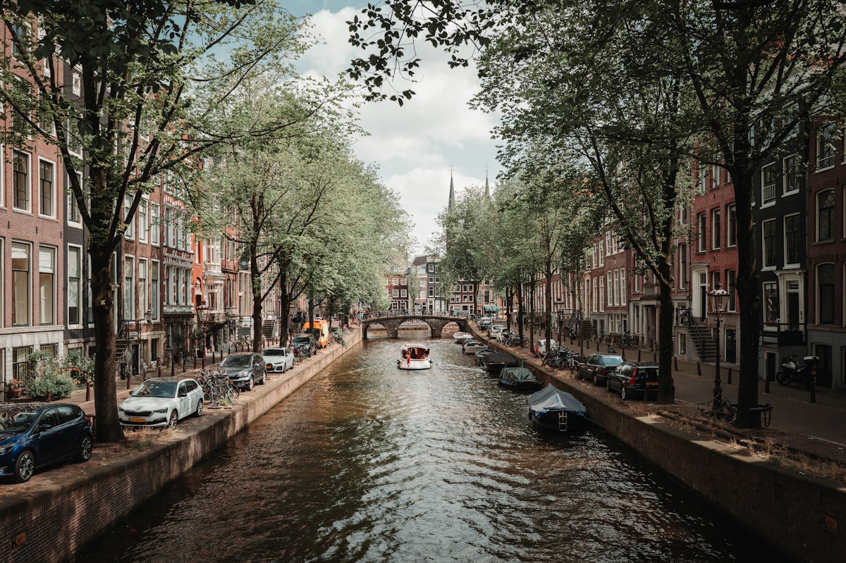 Top 5 incontournables