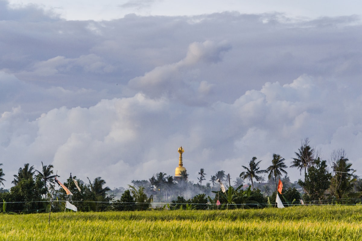 Quand partir à Bali ?