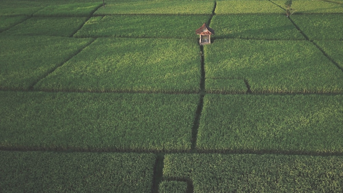 Top 5 incontournables