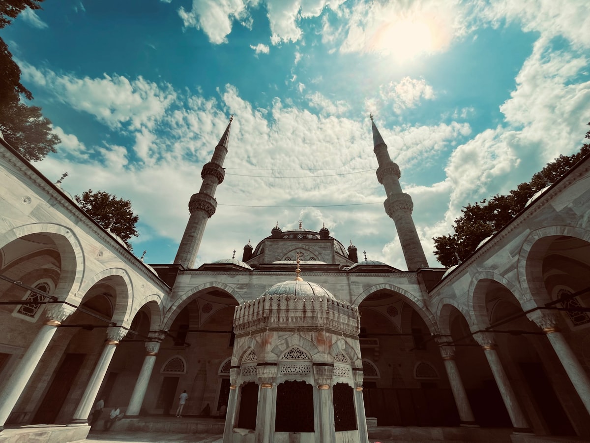 Top 5 incontournables