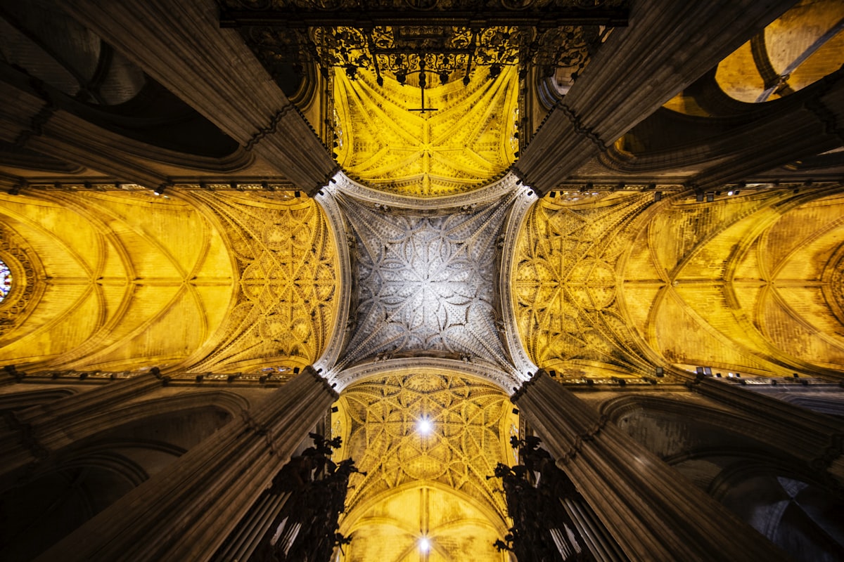 Top 5 incontournables