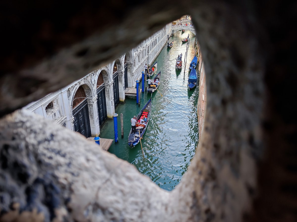 Top 5 incontournables